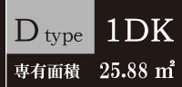 Dtype